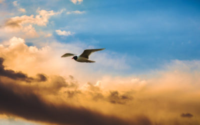 6 Ways You Can Learn To Relax