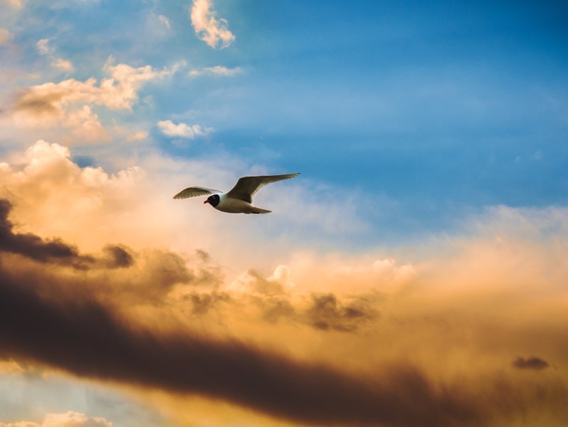 6 Ways You Can Learn To Relax