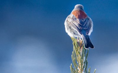 A Powerful New Morning Ritual For A Brand New Year!