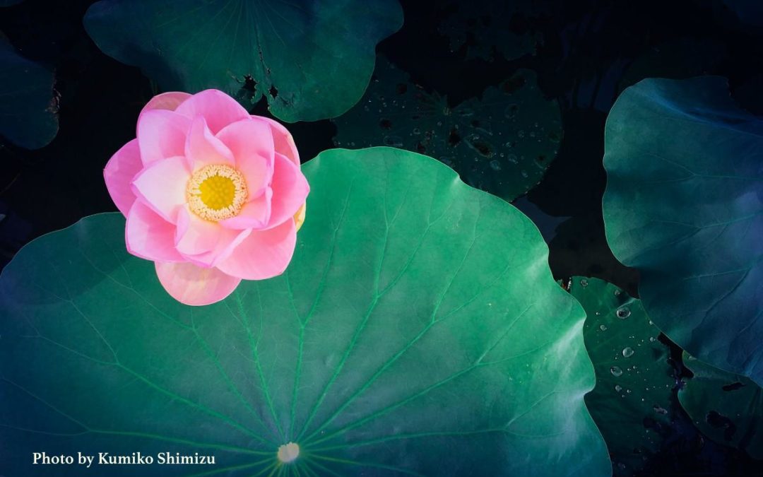 You May Be Meditating Without Even Knowing It