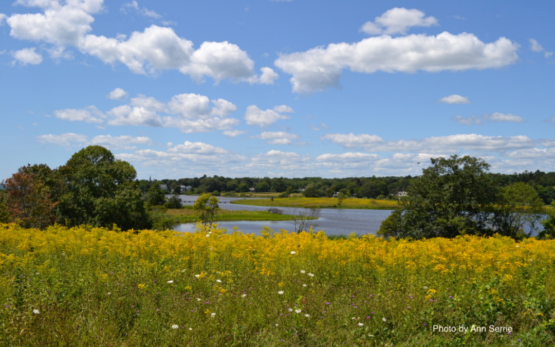 Finding Calm Amidst Heightened Fear & Uncertainty