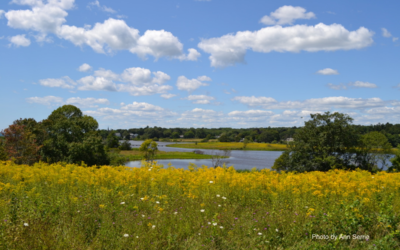 Finding Calm Amidst Heightened Fear & Uncertainty