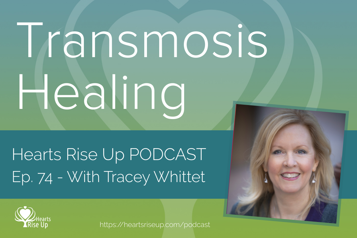 transmosis healing