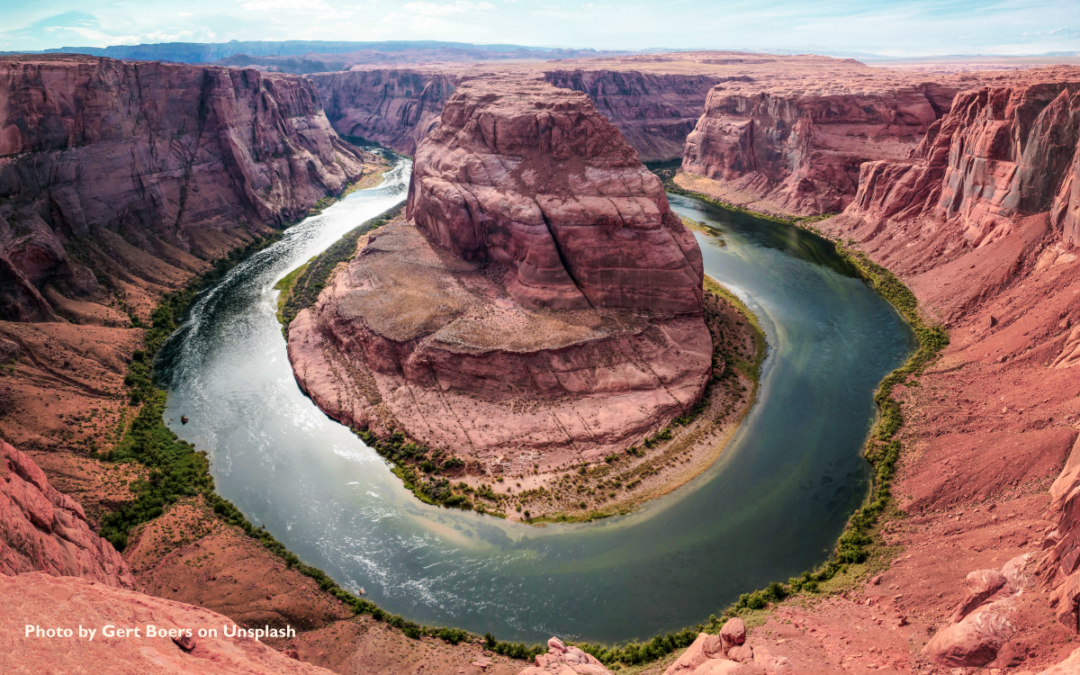 How To Adapt And Flow With Life