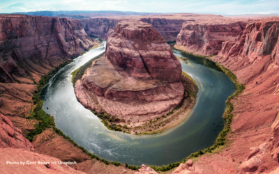 How To Adapt And Flow With Life